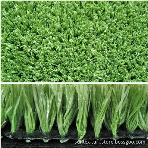Professional Golf Putting Green Grass
